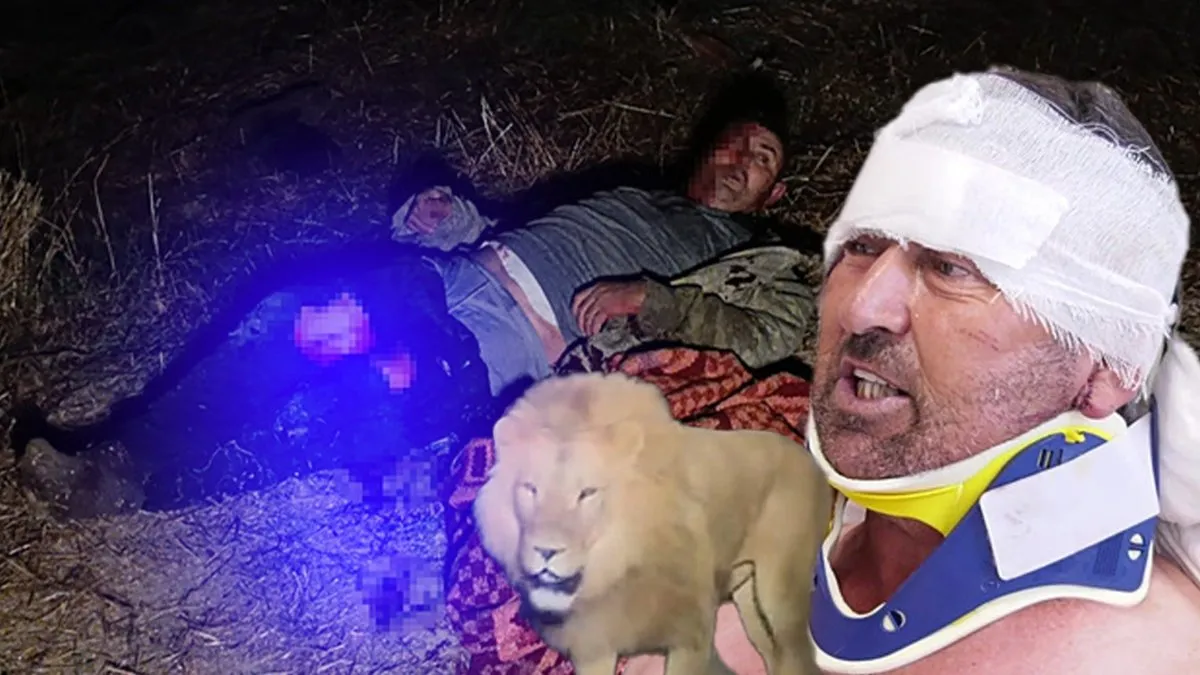 Antalya'da Aslan Saldırısı: Süleyman Kır'ın Sağlık Durumu ve Olayın Son Gelişmeleri