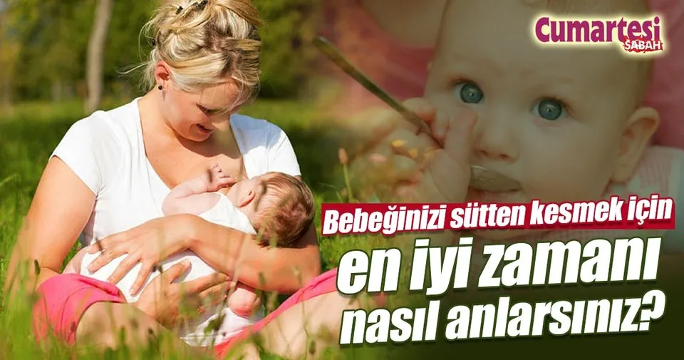 bebeginizi sutten kesmek icin en iyi zamani nasil anlarsiniz cumartesi sabah haberleri