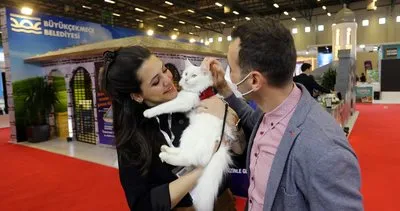 Van standı Emıtt’e damga vurdu