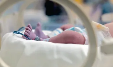 Yargıtay’dan ‘Lazarus’ kararı