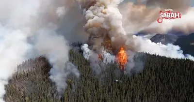 Kanada’daki orman yangınlarında acı rekor | Video