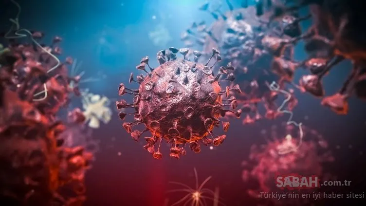 Koronavirüsü nezle, grip ve alerjiden ayırt etme yolları