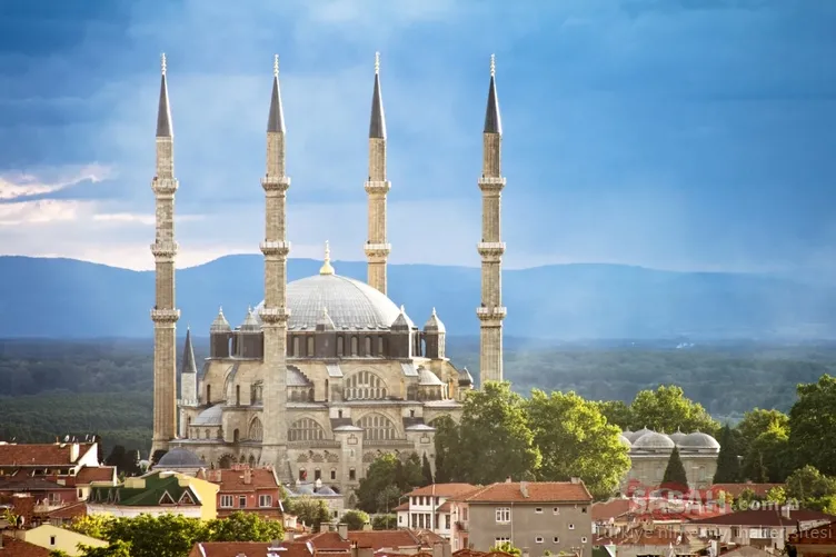 Büyük usta 529 yaşında!