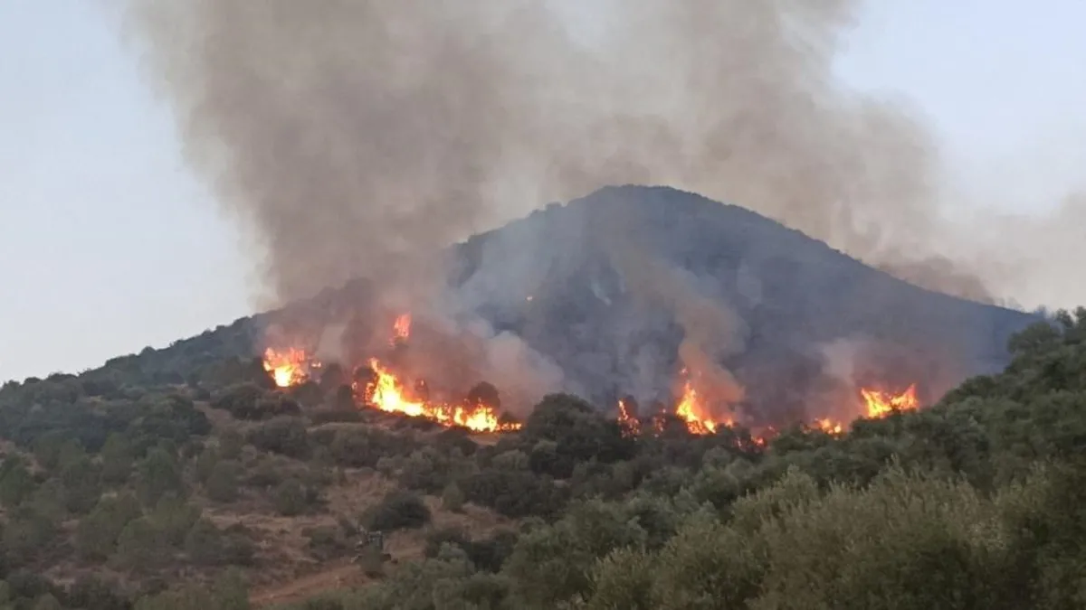 İzmir'deki orman yangınlarına ilişkin 6 kişi tutuklandı