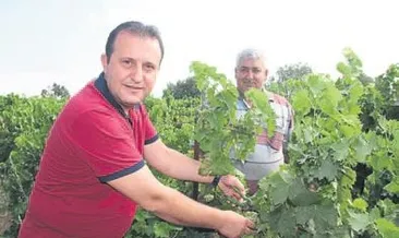 Soylu üzüm kesti işçilerle buluştu