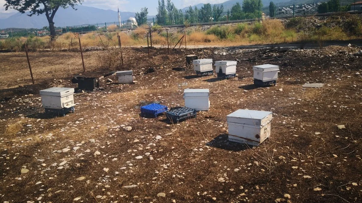 Muğla’da üreticilere 30 milyon TL tazminat ödendi
