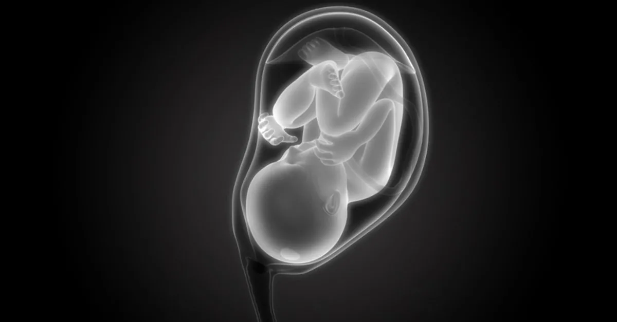 Ikili Tarama Testi Ne Zaman Kacinci Haftada Yapilir Tarama Testi Sonuclari Kac Olmali Son Dakika Haberler