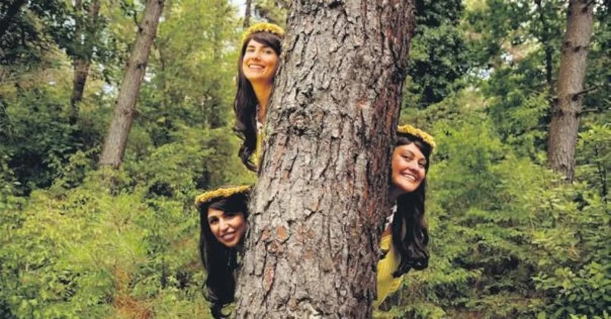 Gul Guzeli Akorlar