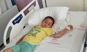 Kocaeli'de korkutan olay: Yılan şehre indi, bahçede oynayan çocuk hastaneye kaldırıldı #kocaeli