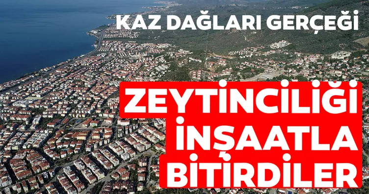 Zeytinciliği inşaatla bitirdiler