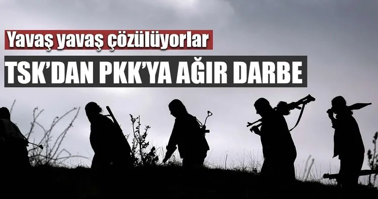 Şırnak’ta PKK’nın sözde sorumluları etkisiz hale getirildi