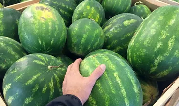 Karpuz Nasıl Seçilir, Nelere Dikkat Edilmeli? Kaliteli Karpuz Sapından ve Kokusundan Nasıl Anlaşılır?