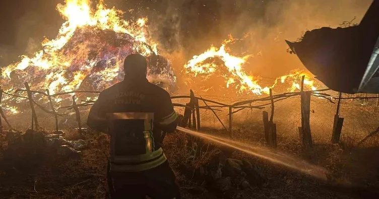 Ot yangınında 2 bin 500 balya kül oldu