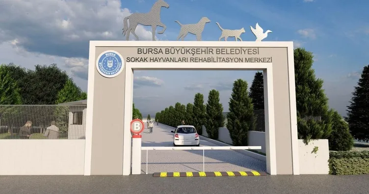 Can dostları için modern tesis