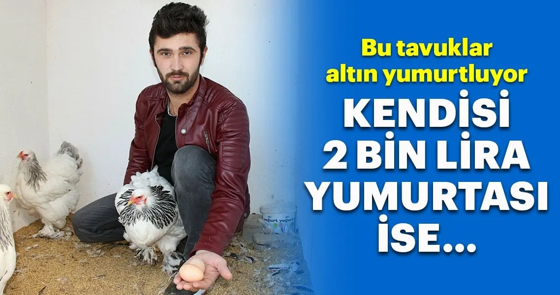 yumurtasi 40 tl kendisi 2 bin tl son dakika haberler