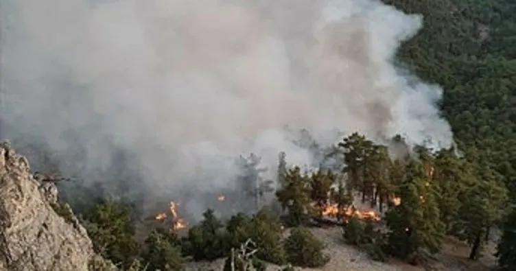 Saimbeyli’de düşen yıldırım 3 kişiyi yaralandı, ormanda yangın çıktı