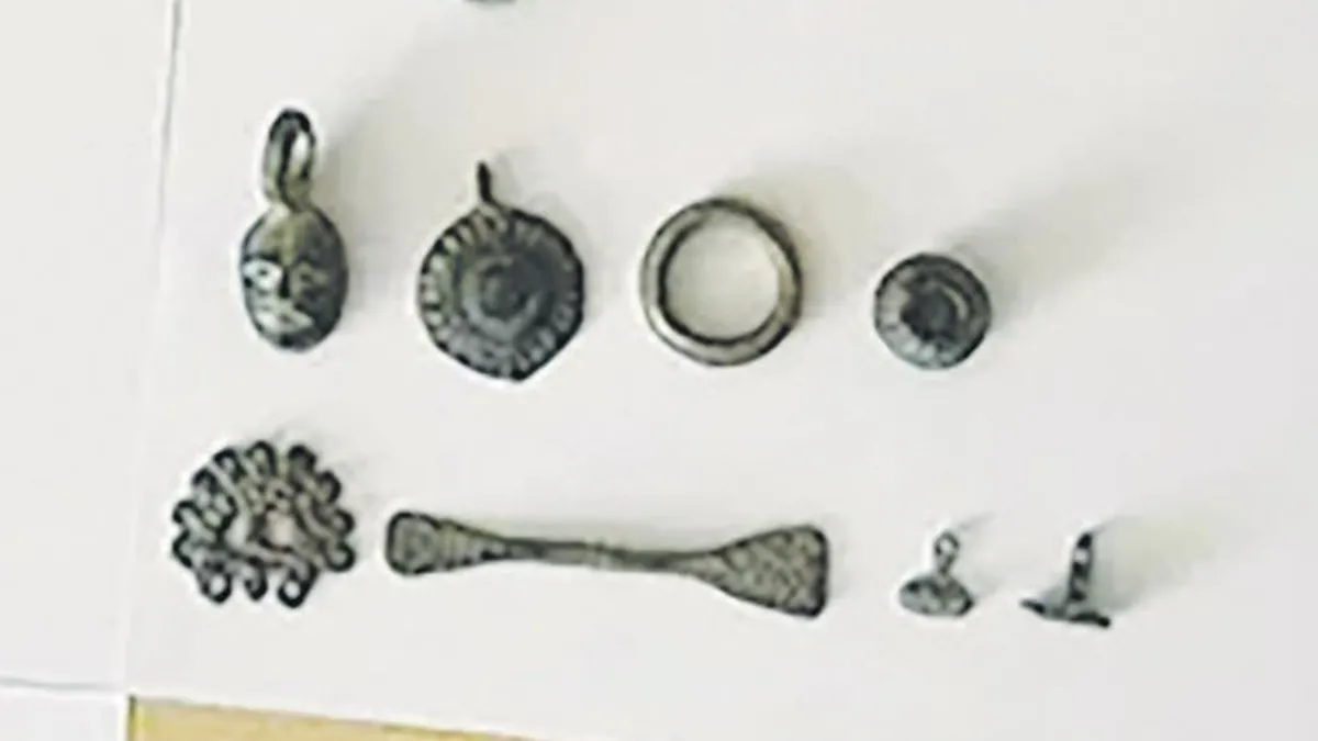 Çöplükte hazine buldu