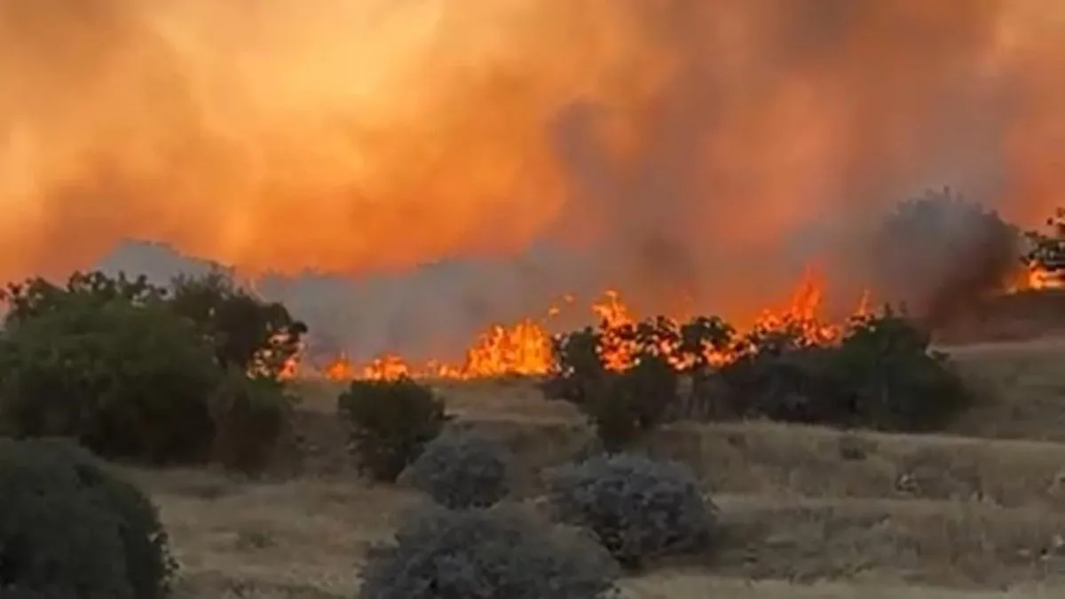 Mardin'de ormanlık alanda yangın! Mardin'de ormanlık alanda yangın!