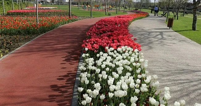 Manisa, lale bahçesine döndü