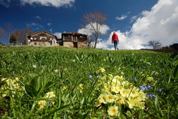 'Mor yayla'ya ziyaretçi akını