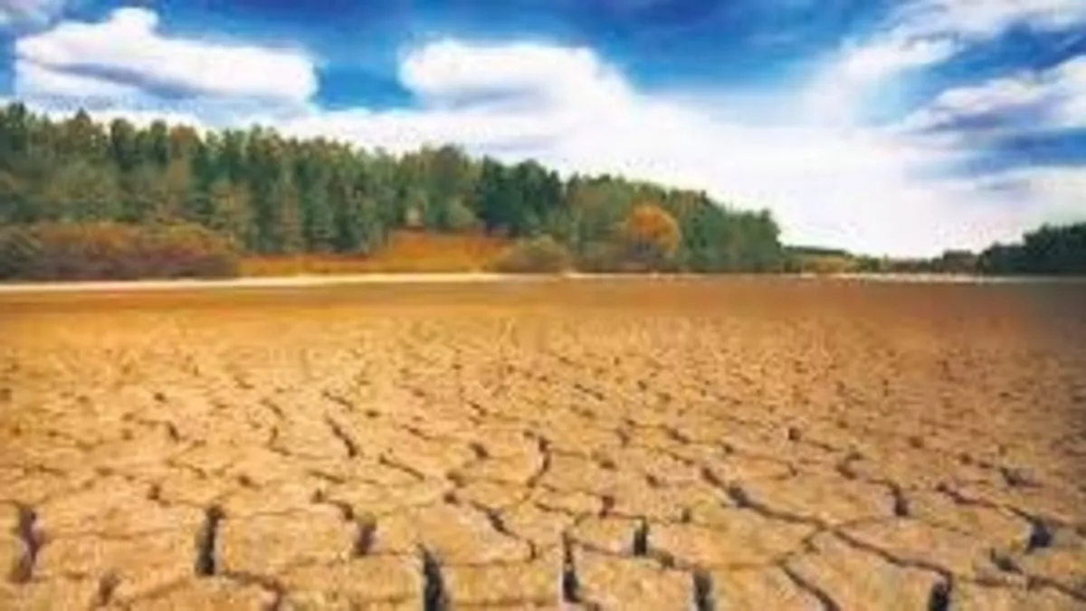 Tarımın yeni normali ‘iklim değişikliğine uyum’ Tarımın yeni normali ‘iklim değişikliğine uyum’