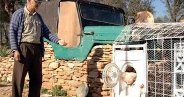 Bu kareler güldürüyor