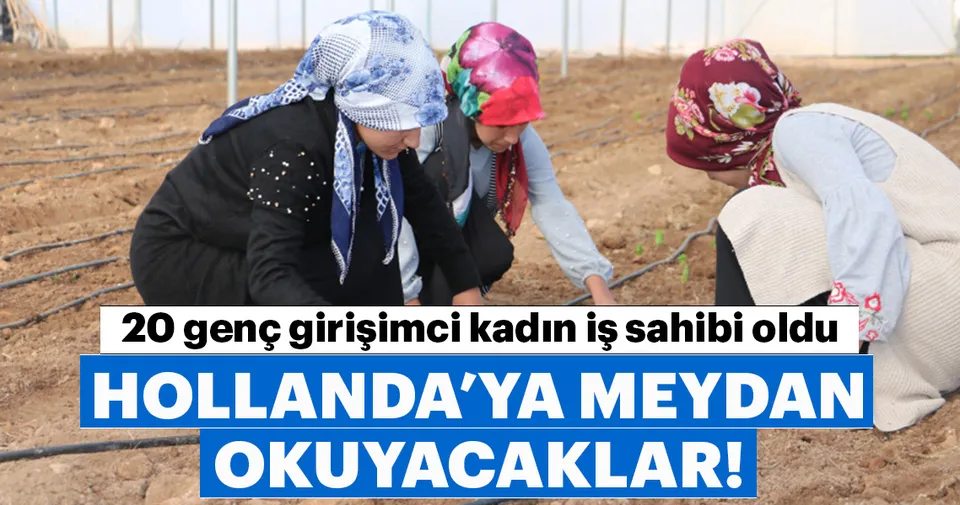 sanliurfa hollanda ya meydan okuyacak