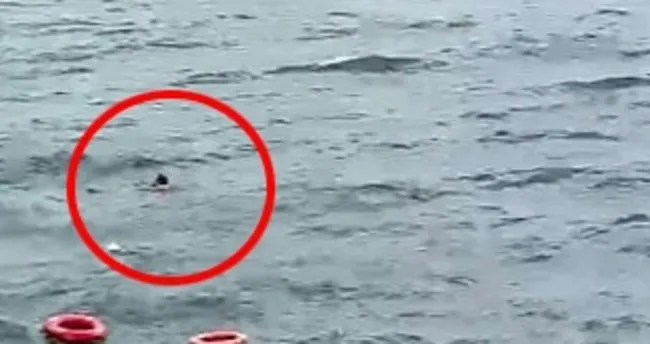 Kadıköy-Eminönü vapurunda 1 yolcu denize düştü! Sahil Güvenlik ekipleri seferber oldu Kadıköy-Eminönü vapurunda 1 yolcu denize düştü! Sahil Güvenlik ekipleri seferber oldu