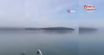 Terkos Gölü’nde kaçak avcılık yapanlar suç üstü yakalandı | Video