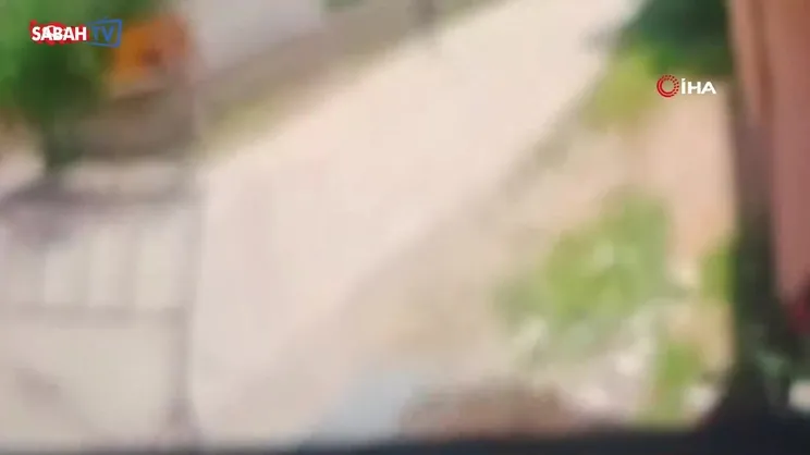 Duvara toslayan at telef oldu | Video