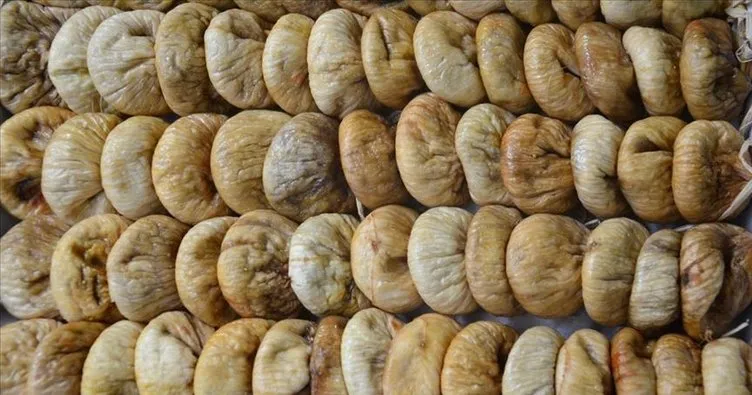 Kuru incir ihracatçılarından rekor beklentisi