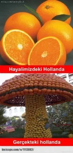Hollanda - Türkiye maçı sonrası capsler