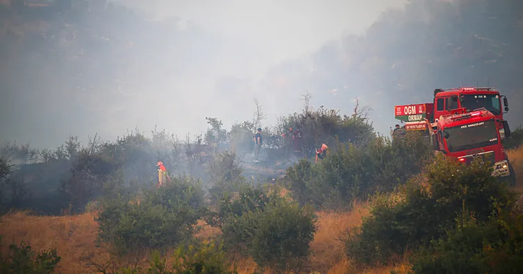 Aydın’da ormanlık alanda yangın çıktı! Bölgeye ekipler sevk edildi