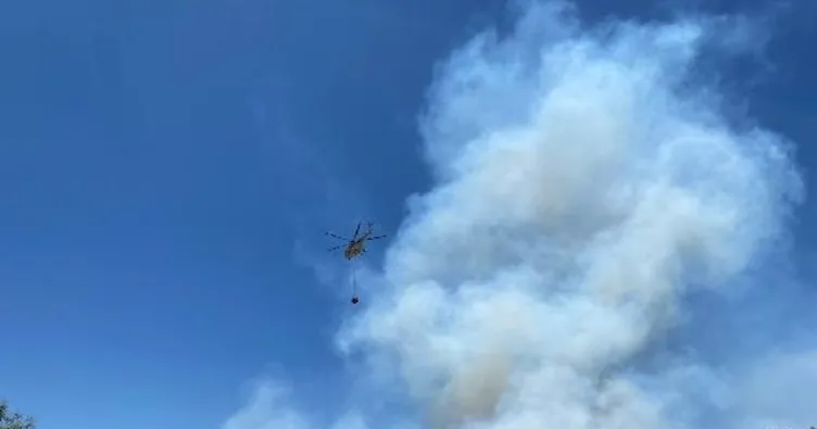 Antalya’da orman yangını!