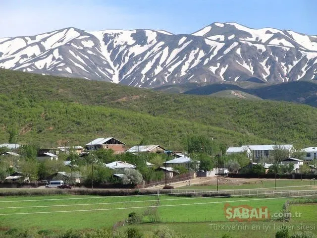İl il Türkiye'nin 2019 nüfusu