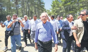 Ağaç katliamını yapan yandaş olunca sözde çevreciler suspus: ikiyüzlüler!