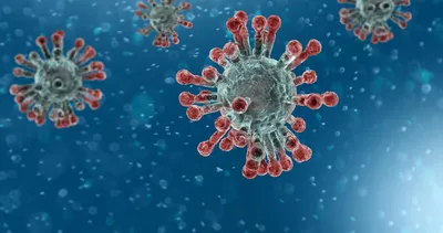 Corona virüsü mutasyona uğradı mı? SARS-CoV-2 genomu incelendi ve...