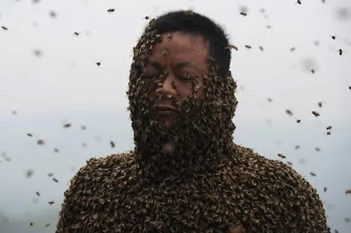 Vücudunu 460 bin arıya emanet etti