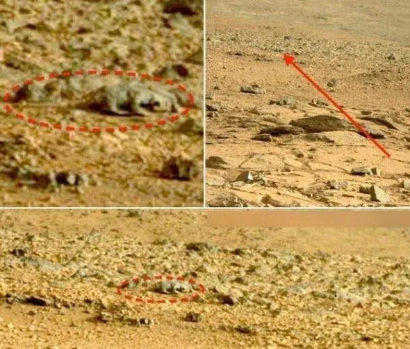 Uzayda hayat var mı sorusuna NASA'dan net yanıt... Bu kareleri ilk kez paylaştılar