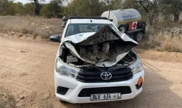Güney Afrika’da vahşi fil arabayı böyle parçaladı! O anlar kamerada
