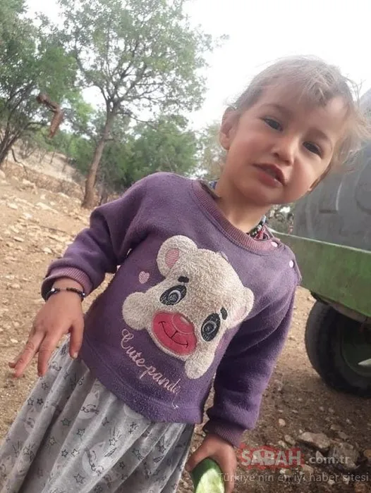 Türkiye mide bulandıran olayı konuşuyor! Yörük kızı Müslüme’nin babası çıkan Hasan Yağal’a ünlü isimler öfke kustu!