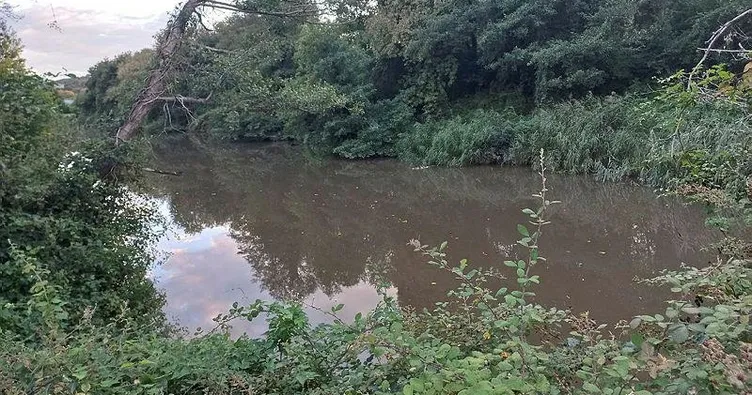 Cennet Riva ölüyor