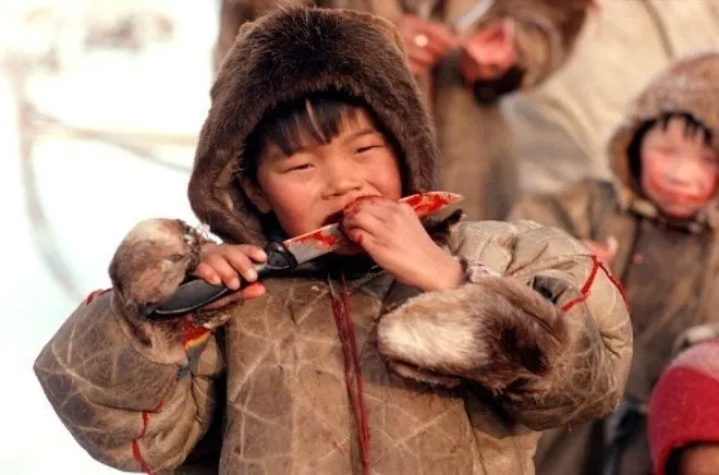 Kuzey Kutbu’nun inanılmaz kabilesi! Çiğ et ve kanla besleniyorlar