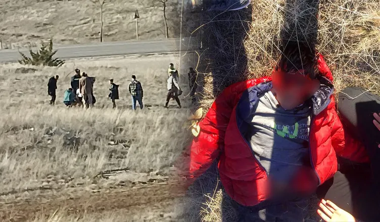 SON DAKİKA... Ankara’da sokak köpekleri 13 yaşındaki Hayrettin’i parçaladı! Baba gözyaşları ile anlattı: Kafatası, omzu, kolları…