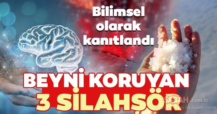 Bilimsel olarak açıklandı! İşte beyni koruyan üç silahşör