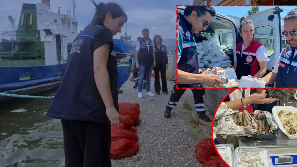 İzmir'de yasa dışı su ürünleri avcılarına operasyon! Tonlarca kaçak midye ele geçirildi İzmir'de yasa dışı su ürünleri avcılarına operasyon! Tonlarca kaçak midye ele geçirildi