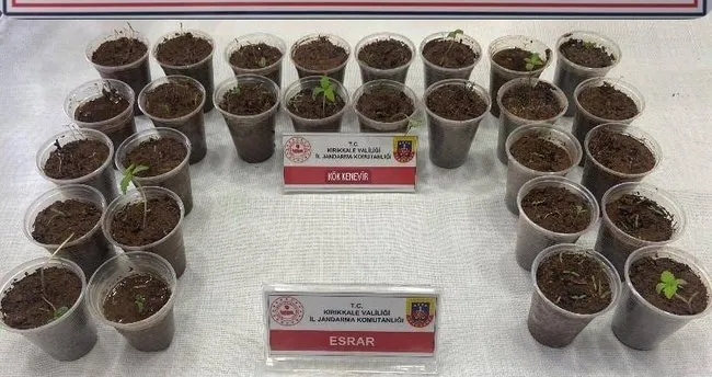 Araçta yapılan aramada uyuşturucu ele geçirildi: 1 kişi cezaevine gönderildi