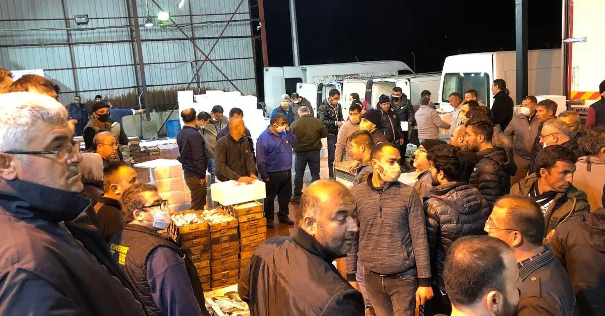 antalya balik hali telefon