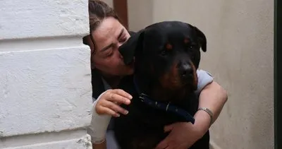 Beslediği Rottweiler cinsi köpek tarafından ısırıldı! Dehşet anlarını anlattı: Öldürecek beni!