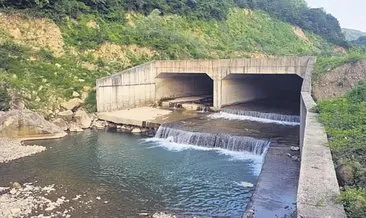 Yüzmek için ırmağa giren Ensar boğuldu #bartin